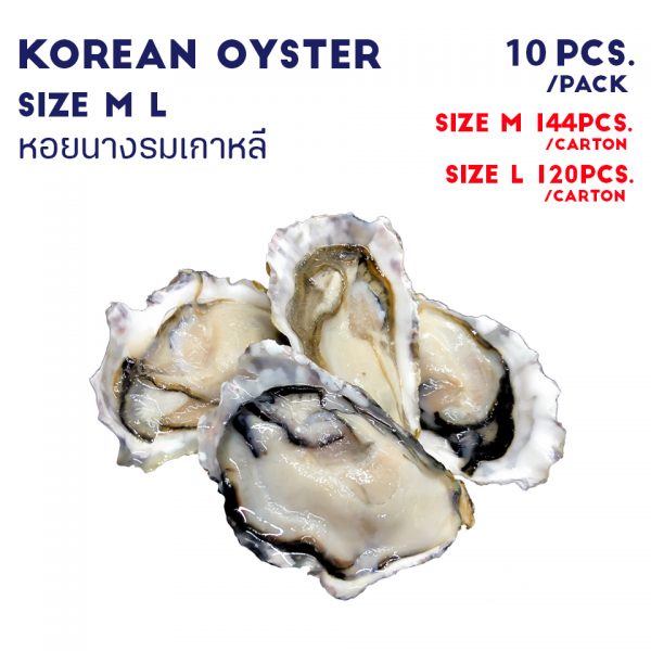 KOREAN OYSTER SIZE M, L