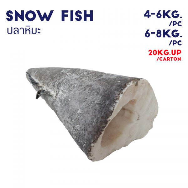 SNOW FISH