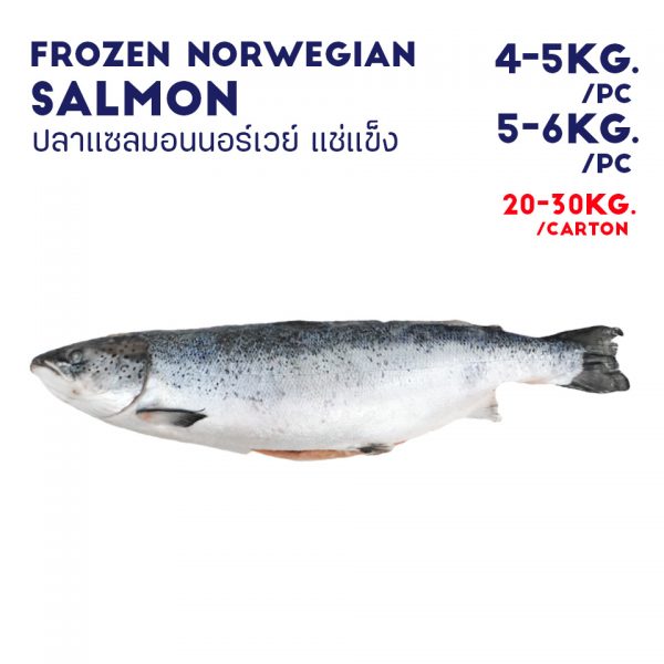 FROZEN NORWEGIAN SALMON