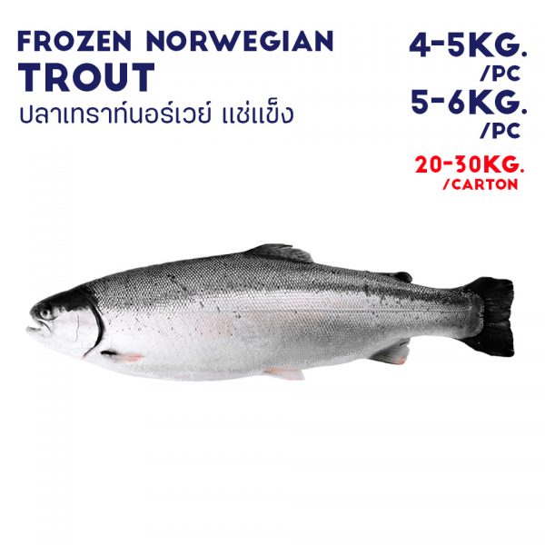 FROZEN NORWEGIAN TROUT