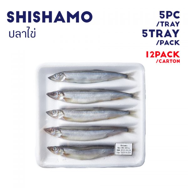 SHISHAMO