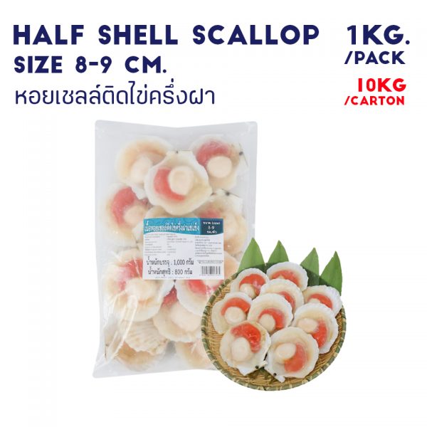 HALF SHELL SCALLOP SIZE 8-9 CM.