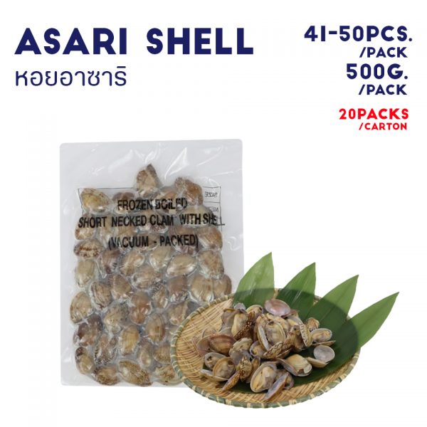 ASARI SHELL