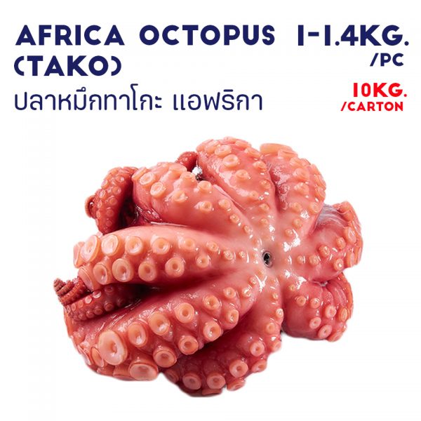 AFRICA OCTOPUS (TAKO)