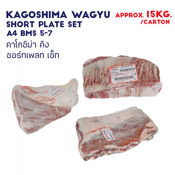 KAGOSHIMA KING SHORT PLATE SET