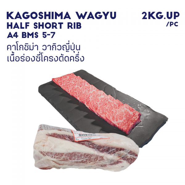 KAGOSHIMA WAGYU HALF SHORT RIB A4 BMS 5-7